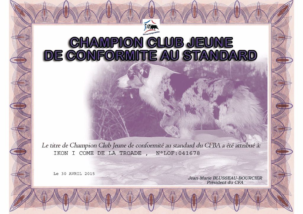 de la Troade - IKON, CHAMPION JEUNE CLUB 2014