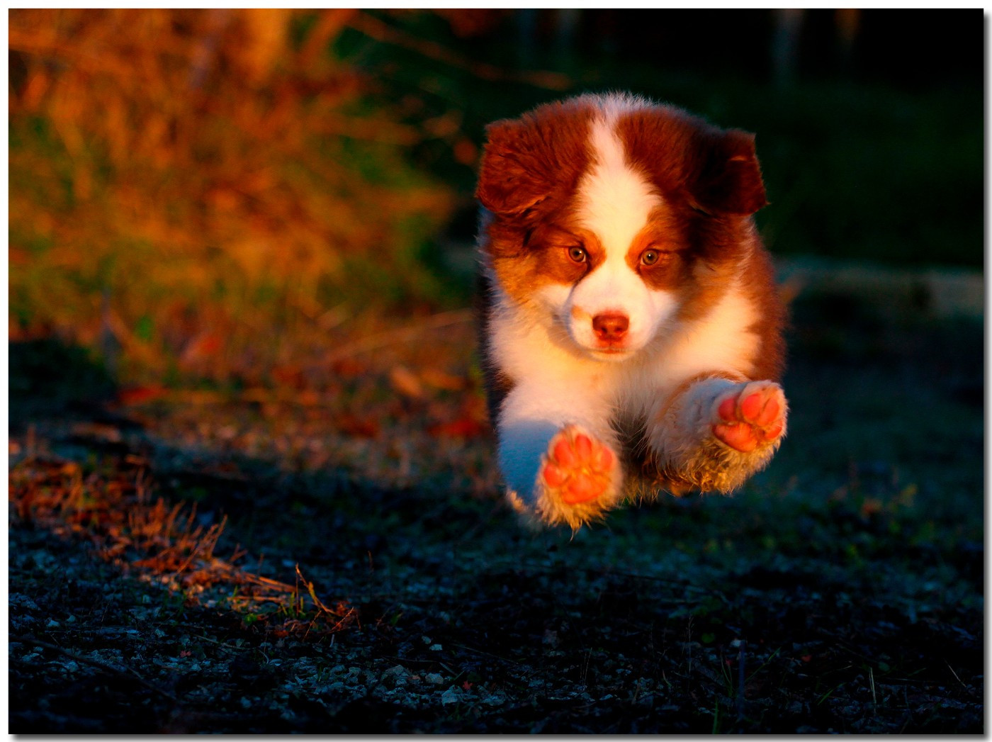 ALL FIRE CRUNCH HUSHHUSHCRUSH de la Troade